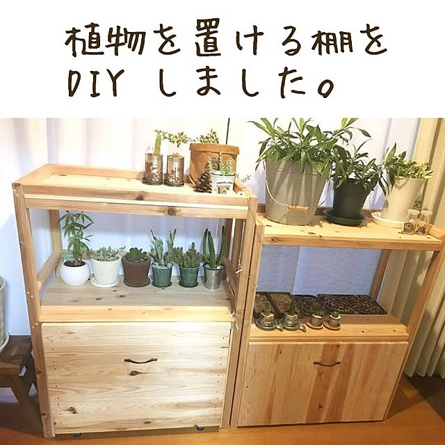 usarou_and_kamekoさんの実例写真