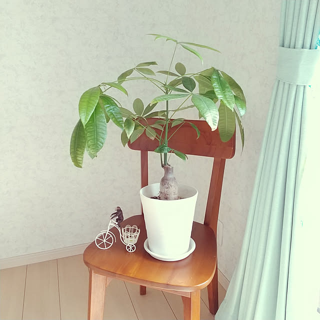 meiさんの実例写真