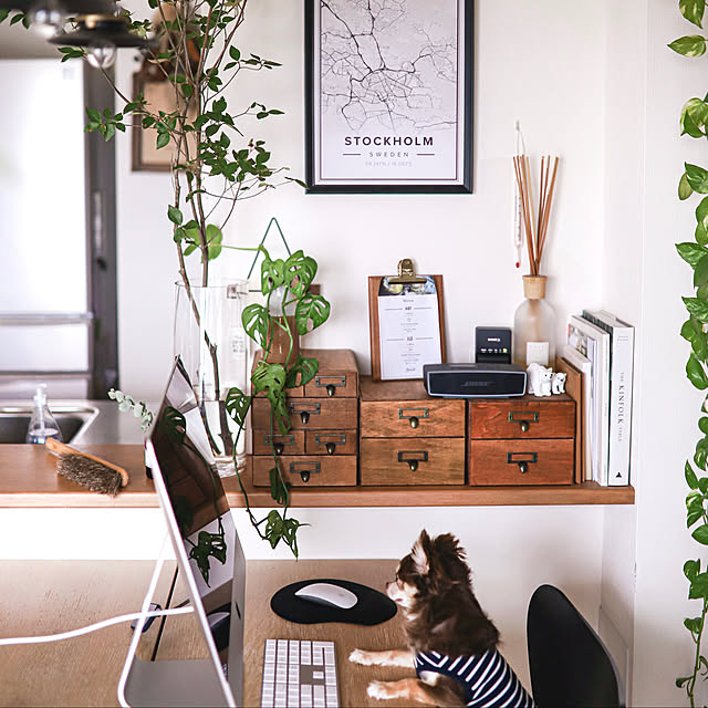 植物/アクタス/観葉植物のある部屋/観葉植物のある生活/観葉植物のある暮らし...などのインテリア実例 - 2020-07-31 23:48:46
