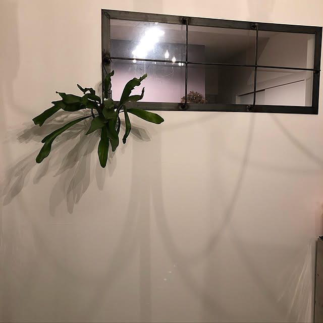 Mさんの実例写真