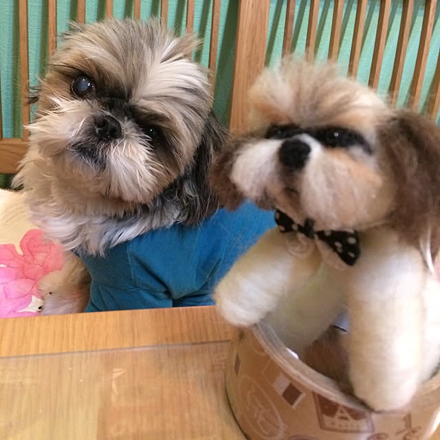 ANNAさんの実例写真