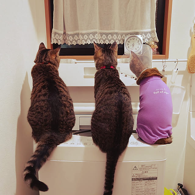 mochicoさんの実例写真