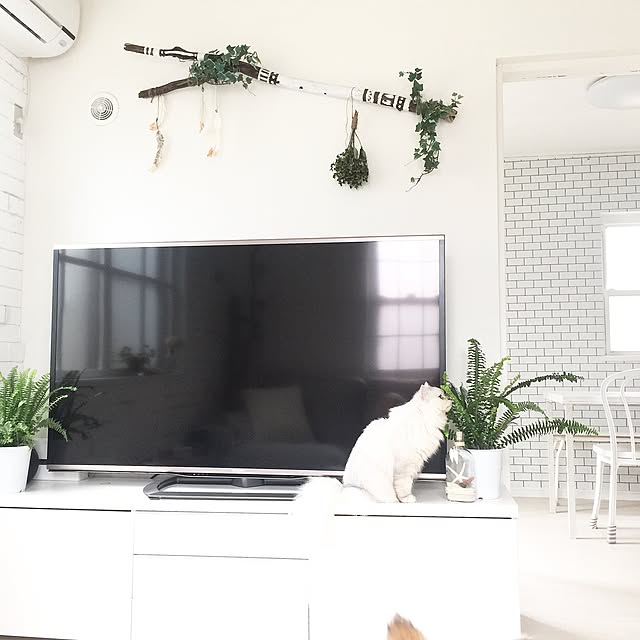 cocoさんの実例写真