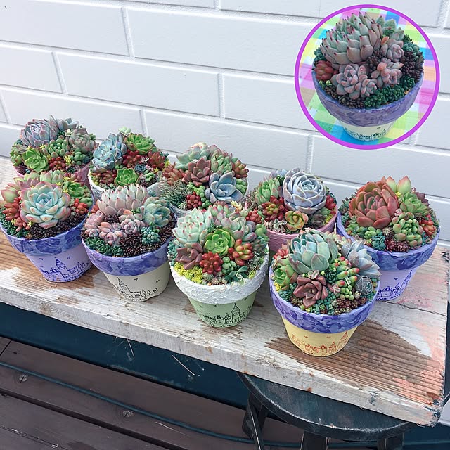 bon-bon-hippieさんの実例写真