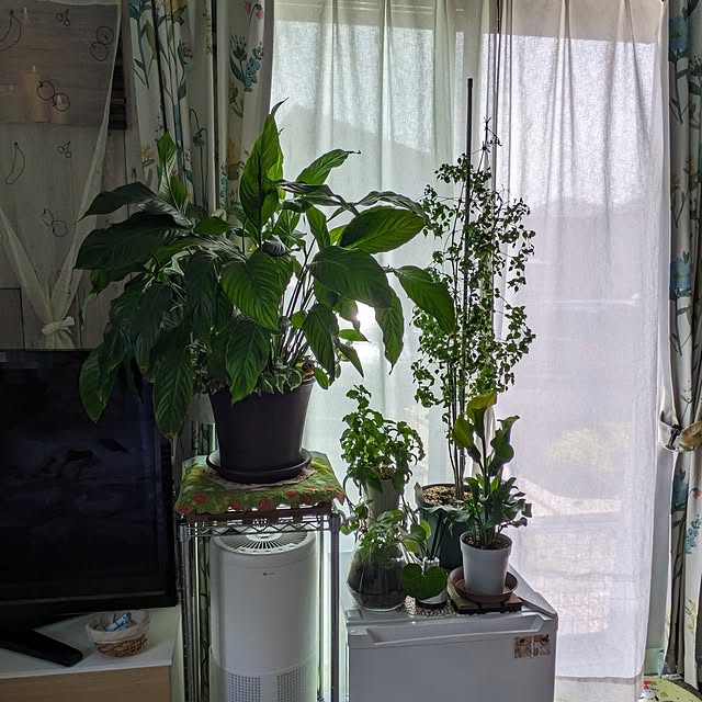 quanshanxia037さんの部屋