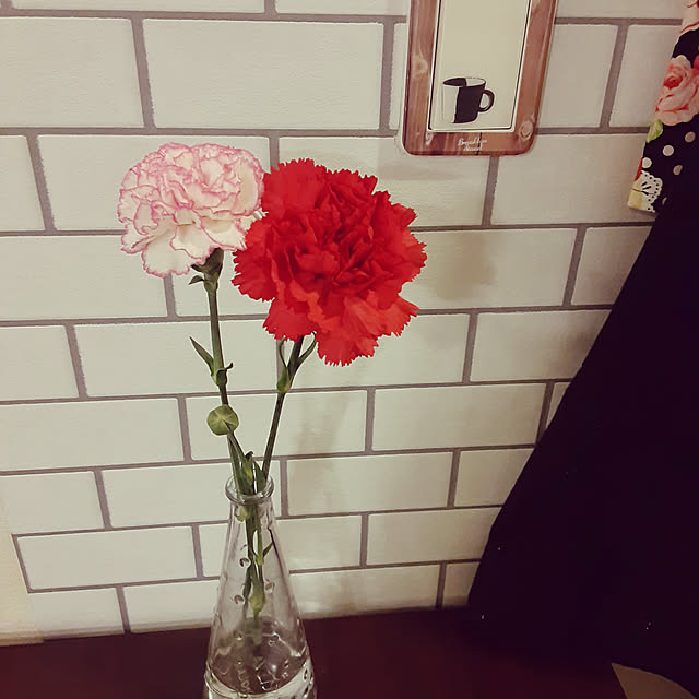 pekeさんの実例写真