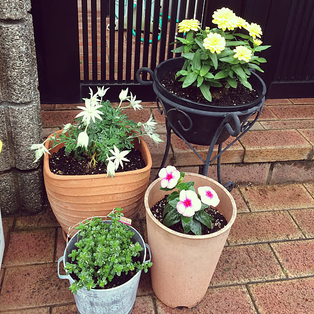 kotaさんの実例写真