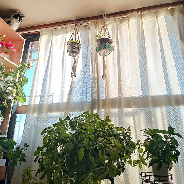 NOAHさんの実例写真