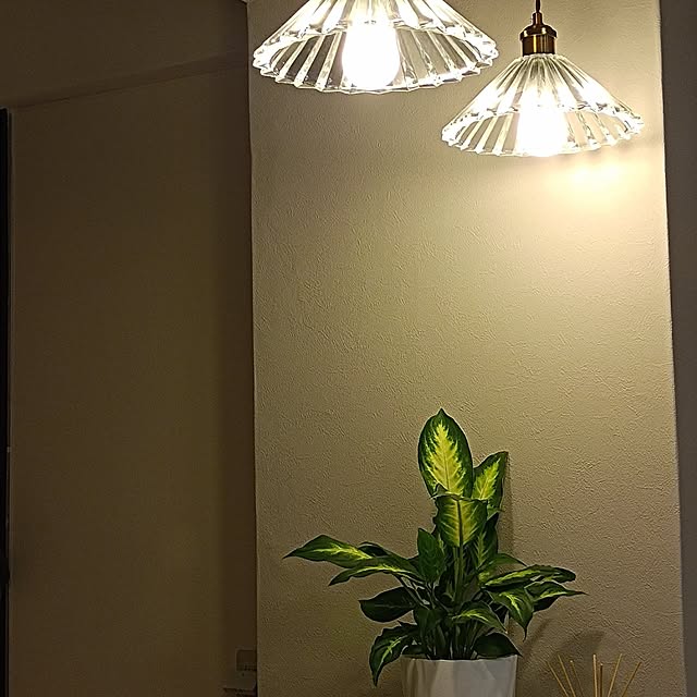 hisaさんの実例写真