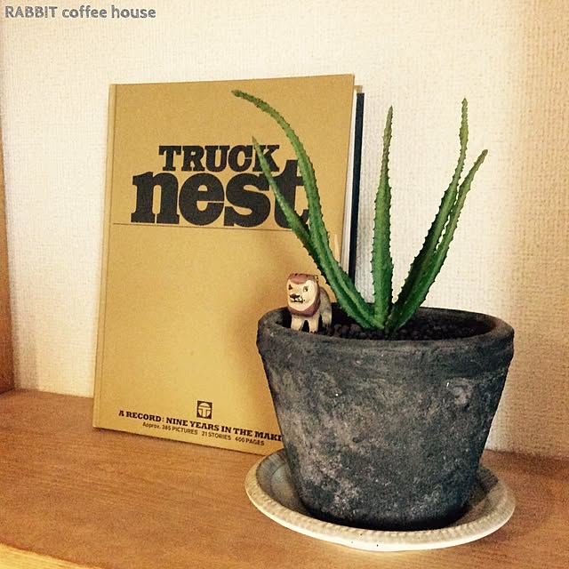 nutsさんの実例写真