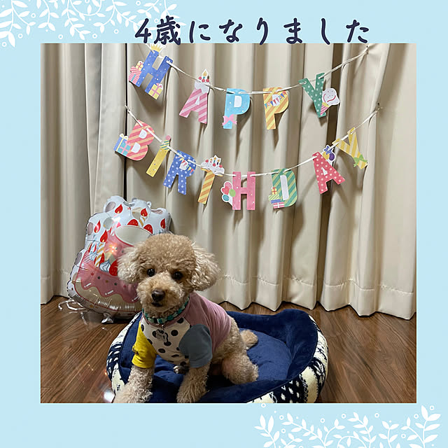 Ran.Happyさんの実例写真