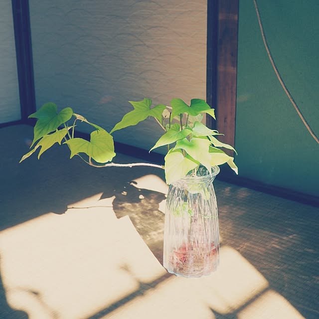 rainbowmakoさんの実例写真