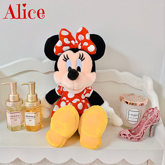 Aliceさんの実例写真