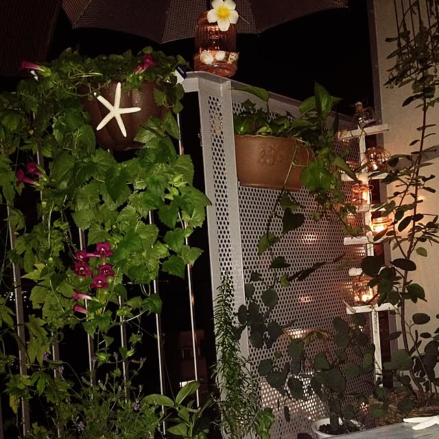 Elissaさんの実例写真