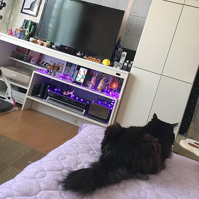 kanaさんの実例写真