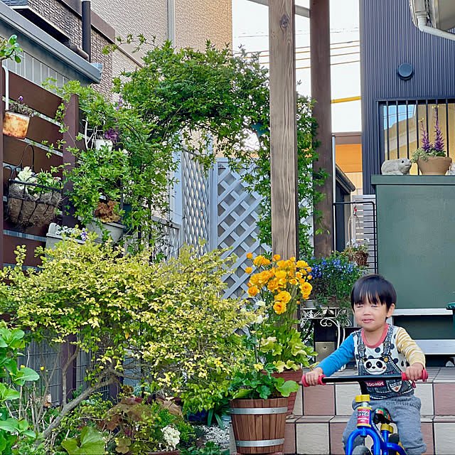 hinamamaさんの部屋