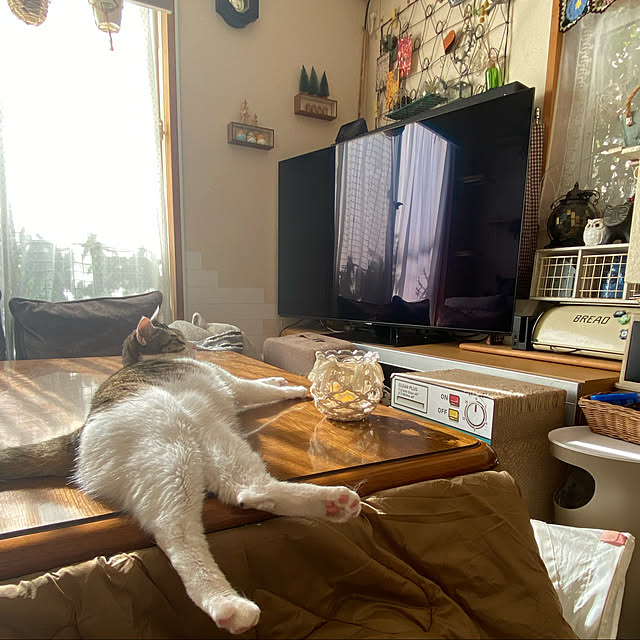 Lufuさんの実例写真