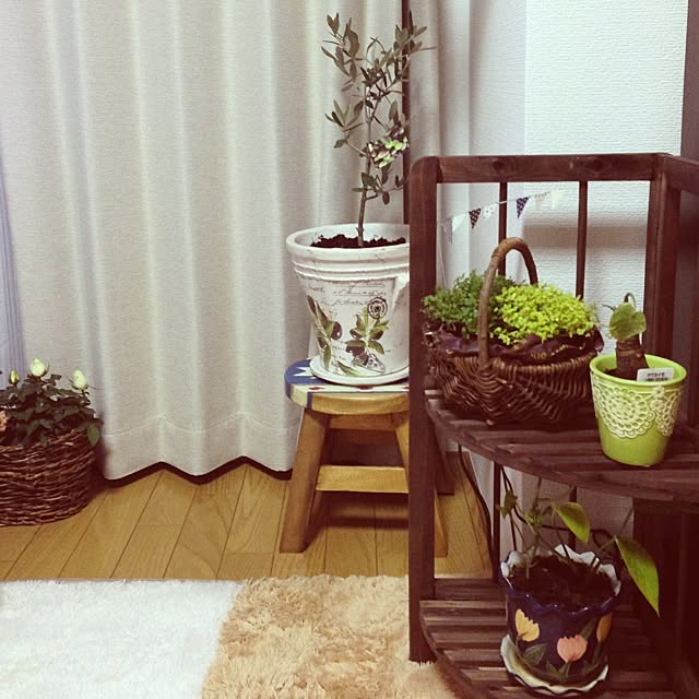 misakiさんの実例写真