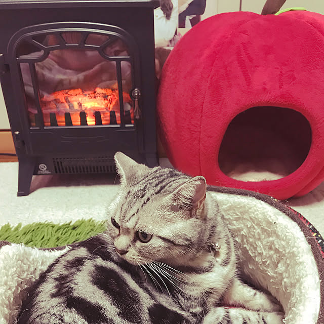 HANAさんの実例写真