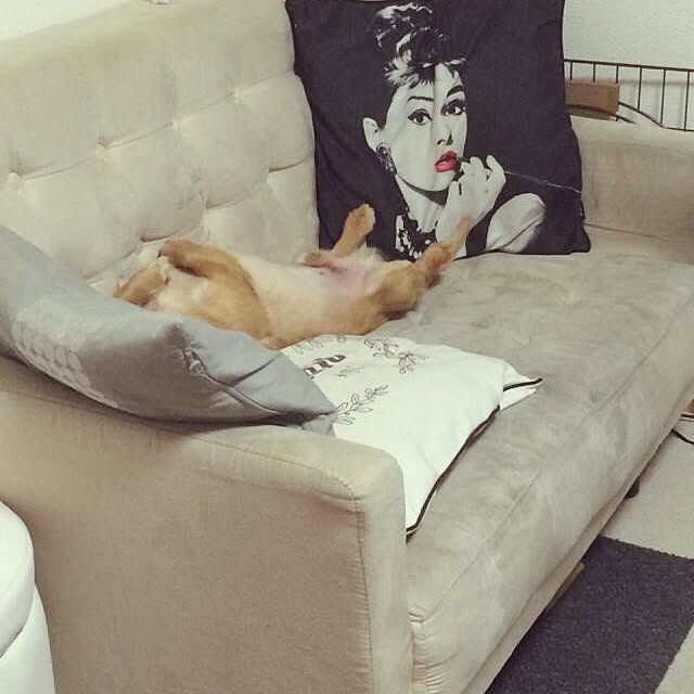 t-s.luv.さんの実例写真