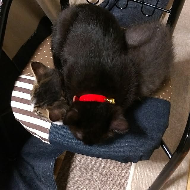 OKANさんの実例写真