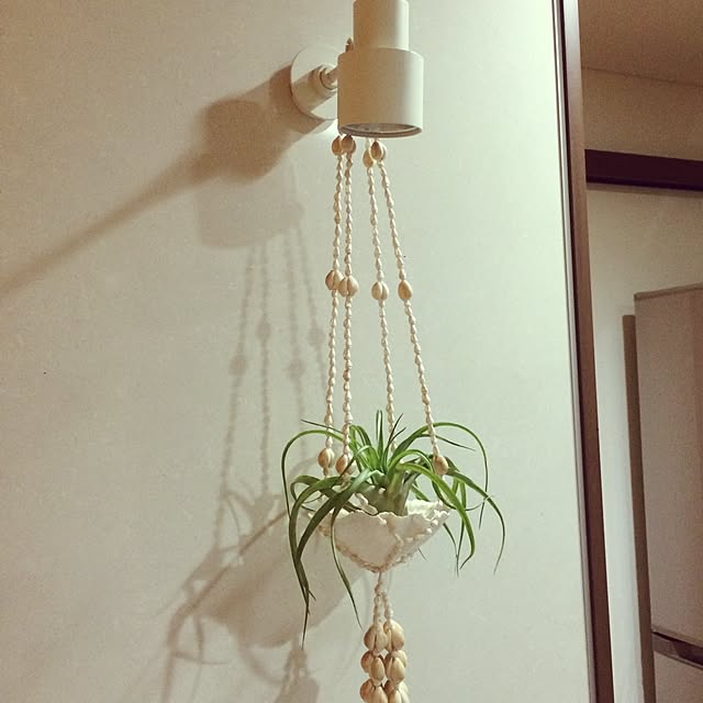 moanaさんの実例写真