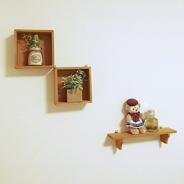 puchiさんの実例写真