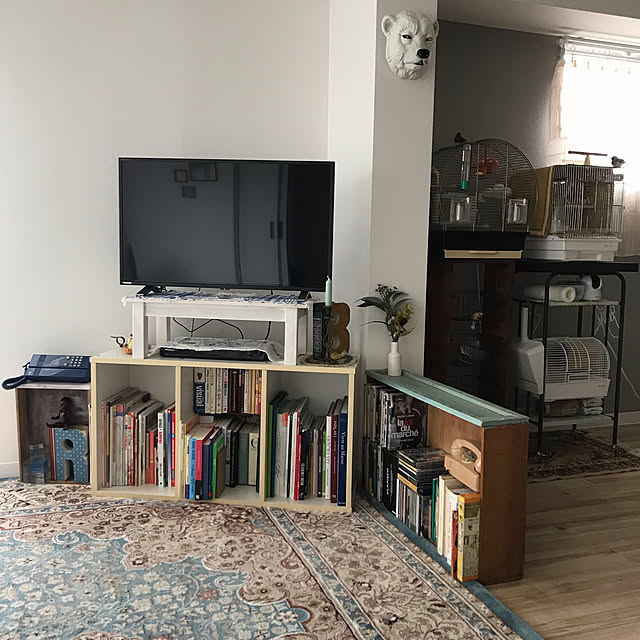 oiseauxさんの部屋