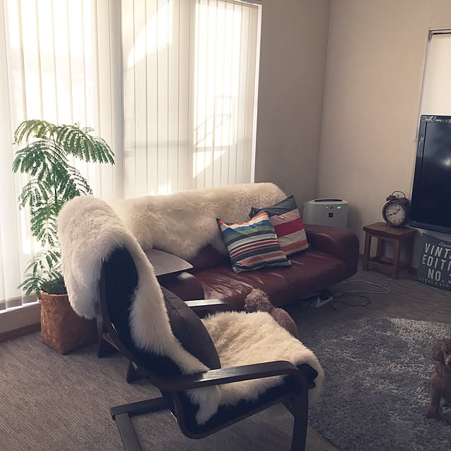 mocojamさんの実例写真