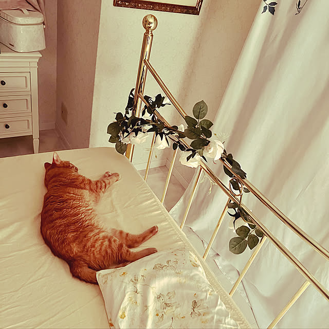 yuko25さんの実例写真