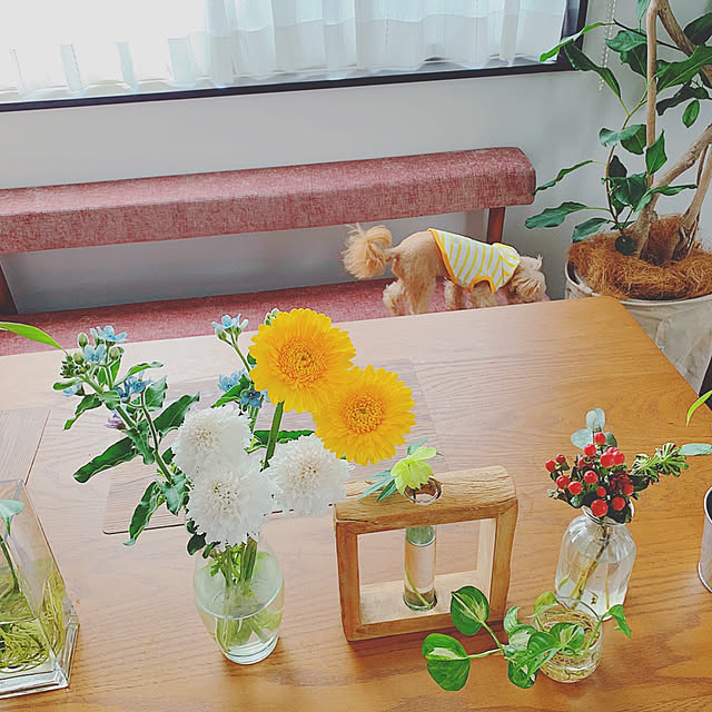 risaさんの実例写真