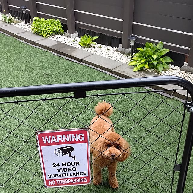 R.Rさんの実例写真