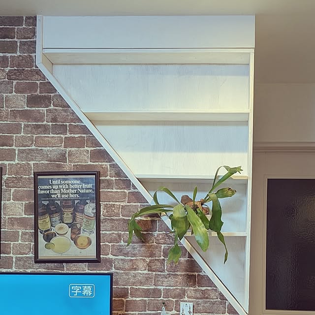 ki-no-koさんの部屋