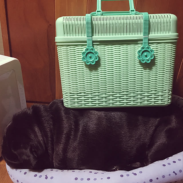 kopandaさんの実例写真