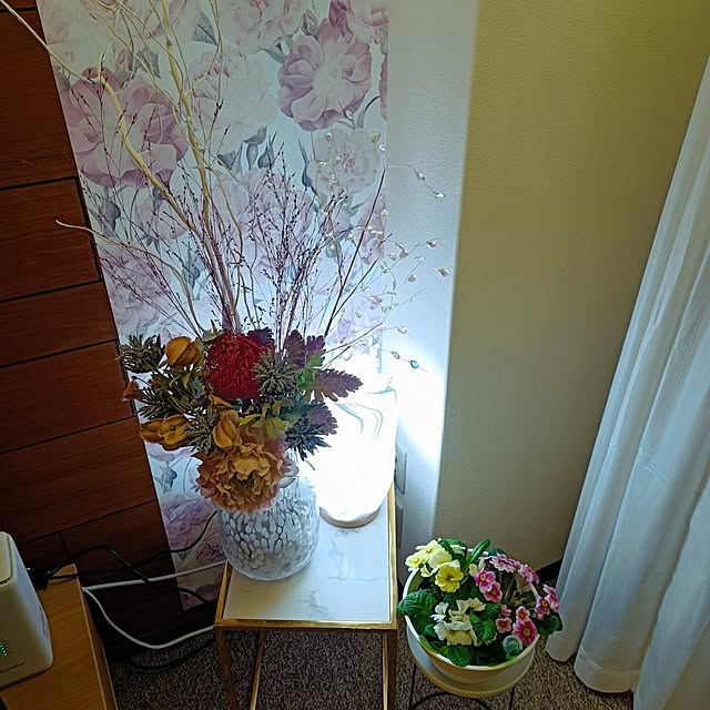 hisaさんの部屋