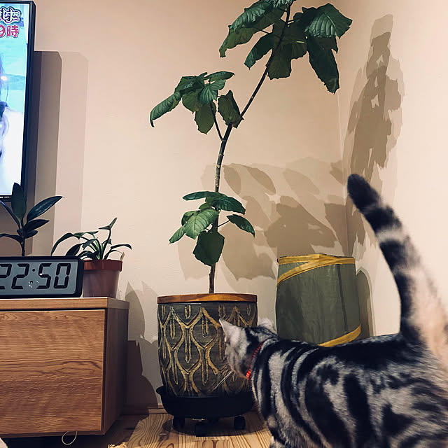 Aさんの実例写真