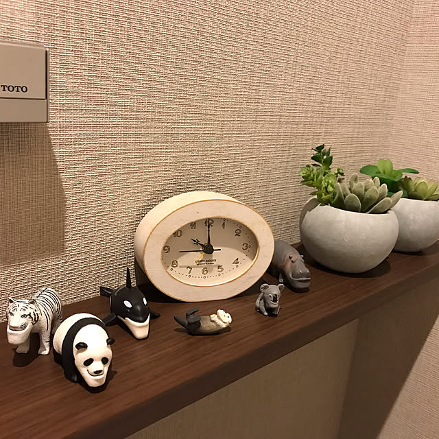 雑貨/多肉植物/フェイクグリーン/バス/トイレのインテリア実例 - 2021-09-23 21:59:20