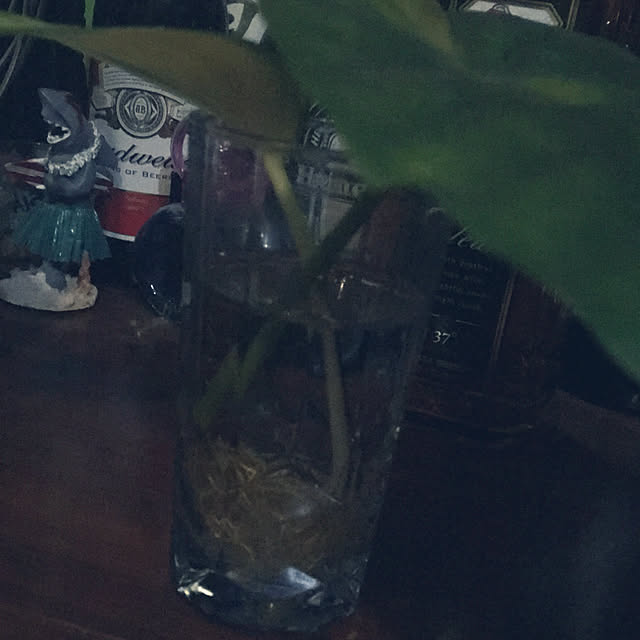 chuさんの実例写真