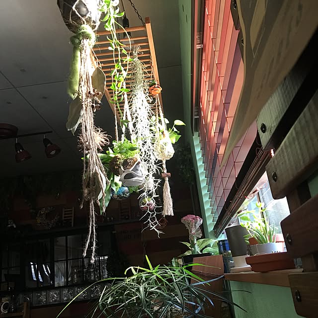 ANNAさんの実例写真