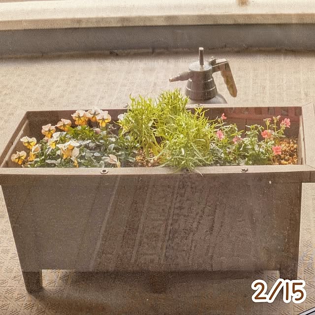 mi-saさんの部屋