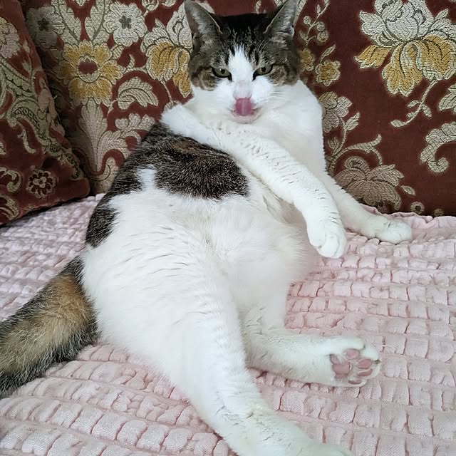 machikomamaさんの実例写真