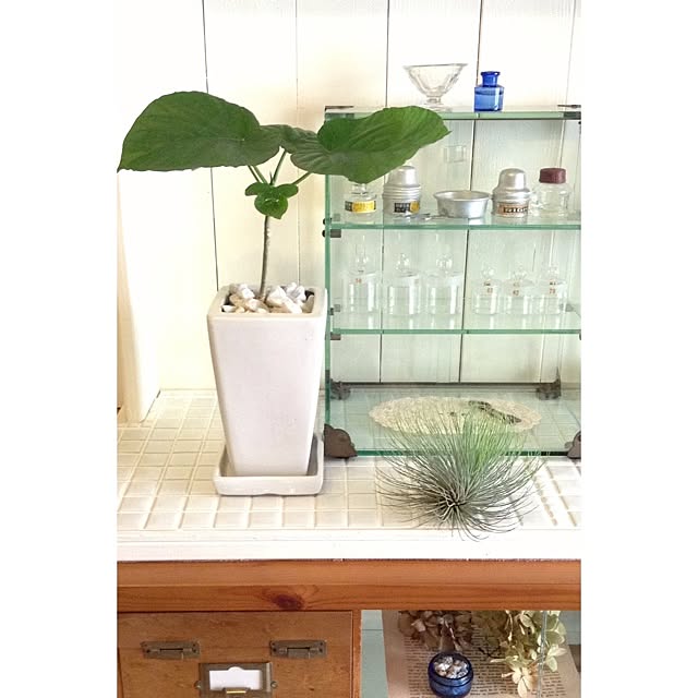 mooさんの実例写真