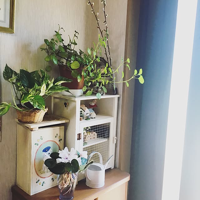 玄関/入り口/DIY/雑貨/植物のインテリア実例 - 2016-05-12 20:58:09