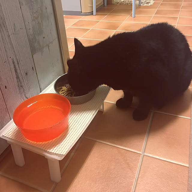 shigimiさんの実例写真