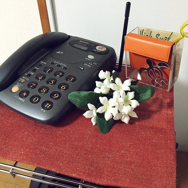 mouseionさんの実例写真