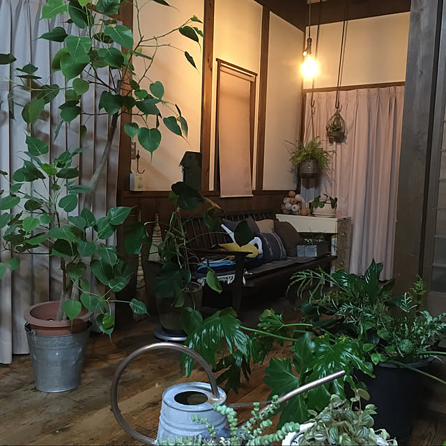 実例写真