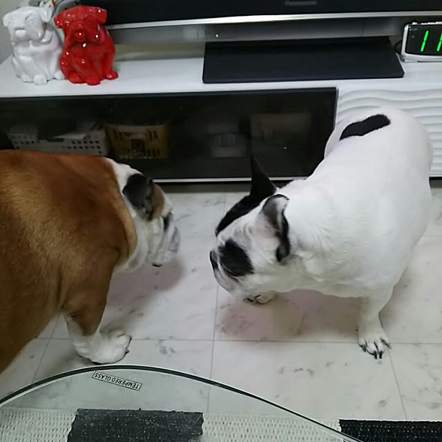 AandPさんの実例写真