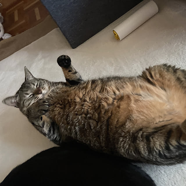 yochiさんの実例写真
