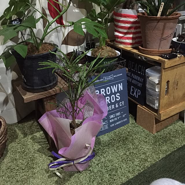 244さんの実例写真