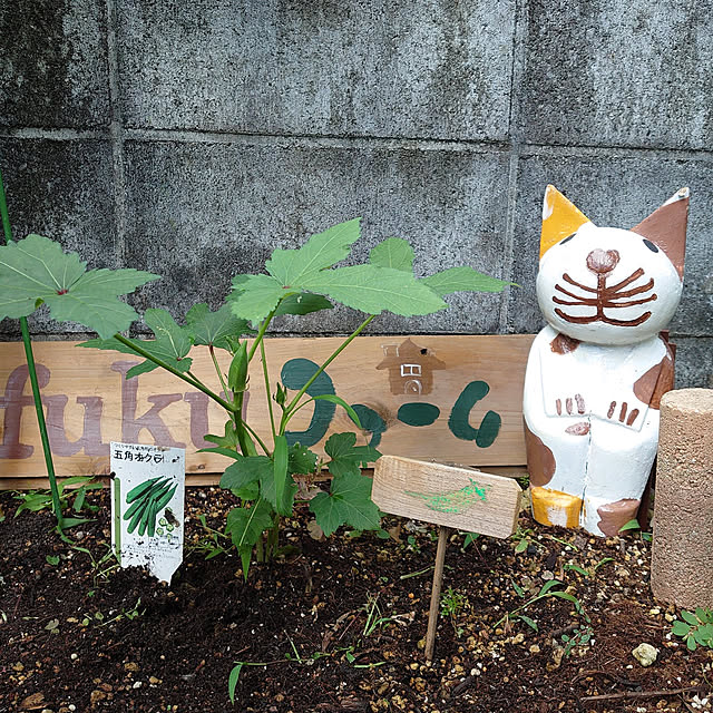 fukuさんの実例写真